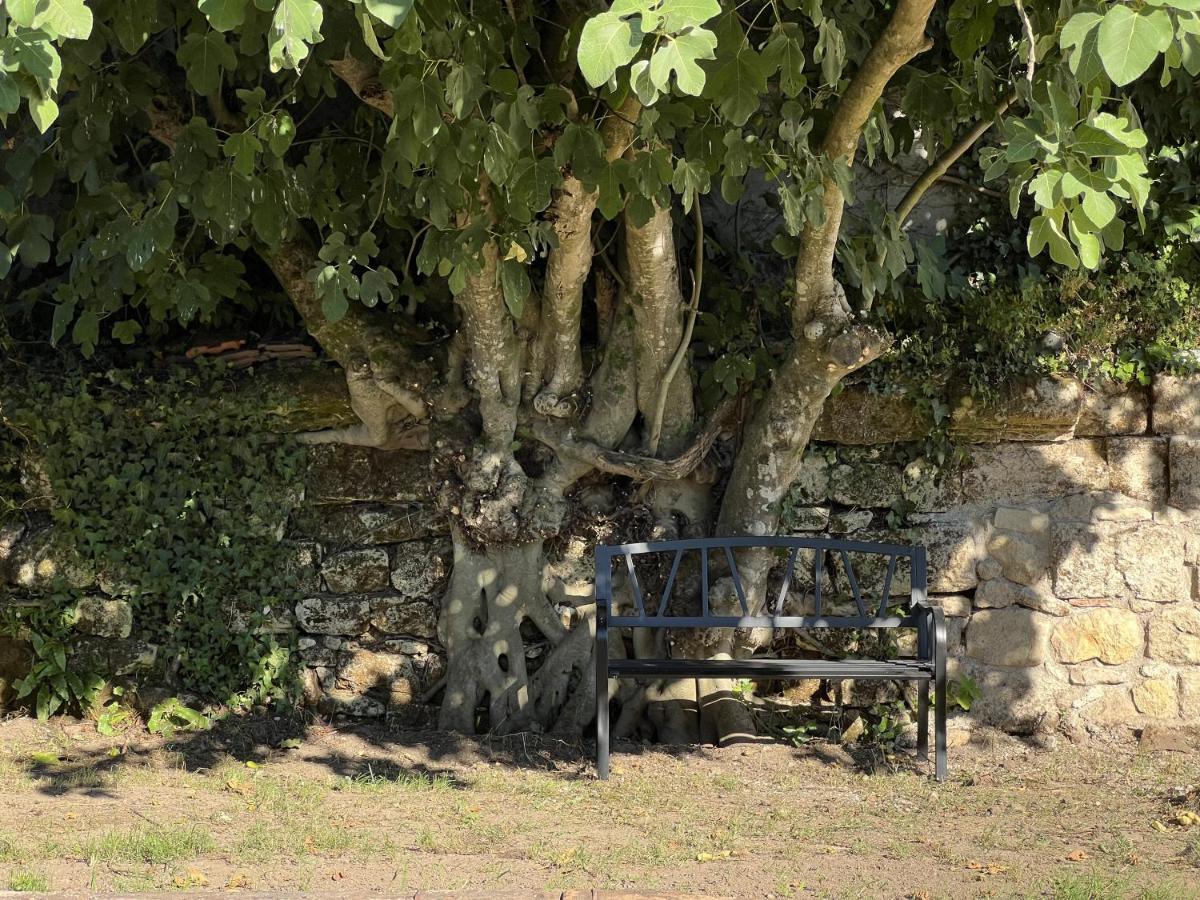 Gite Avec Piscine, Chateau De Lescours, St-Emilion Saint-Sulpice-de-Faleyrens Exteriér fotografie